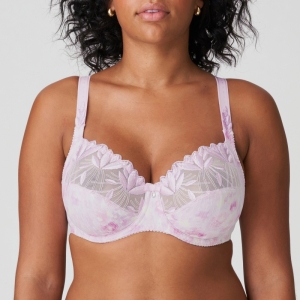 Orlando SVI sweet viole