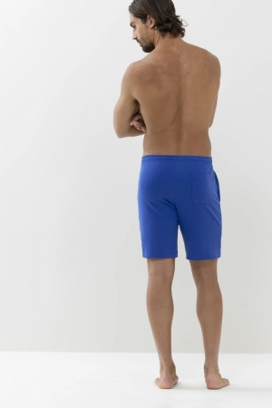 Enjoy Shiny Blue