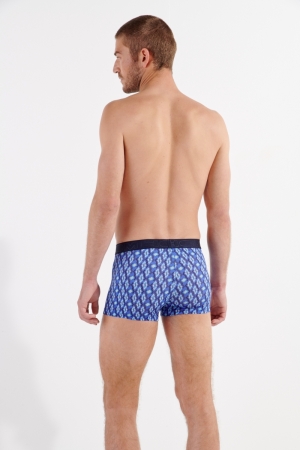 Skylar Blue Print