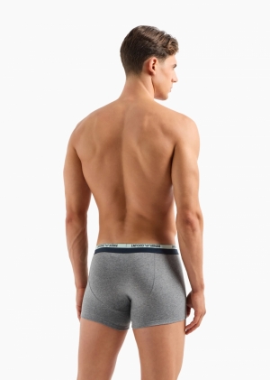 Boxer Grigio