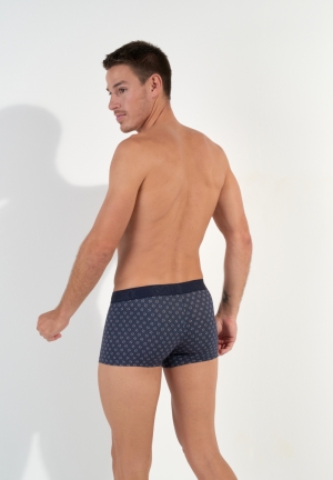 H01 Cyrus Navy Print