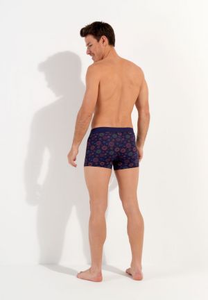 Spectra Navy print