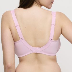 SALERNO SNR Spring Rose
