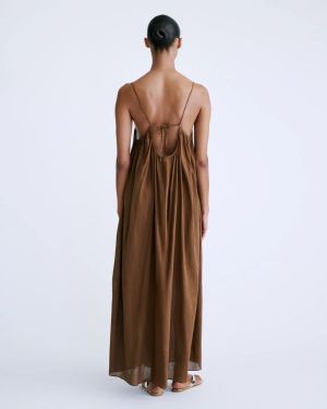 Apricot Brown